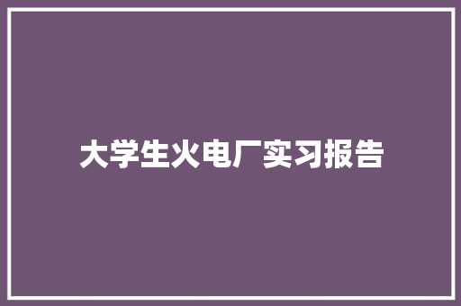 大学生火电厂实习报告