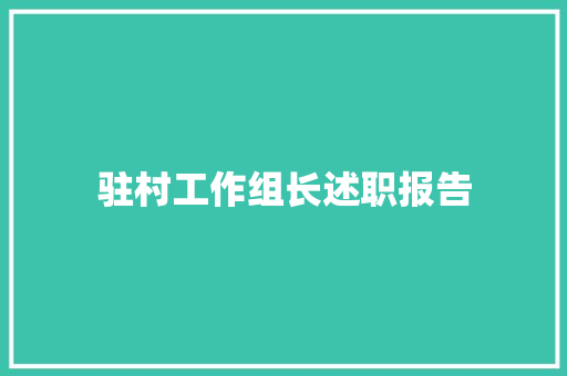 驻村工作组长述职报告