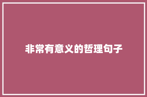 非常有意义的哲理句子 论文范文