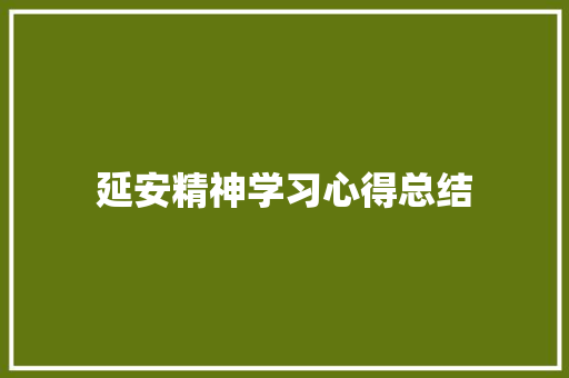 延安精神学习心得总结