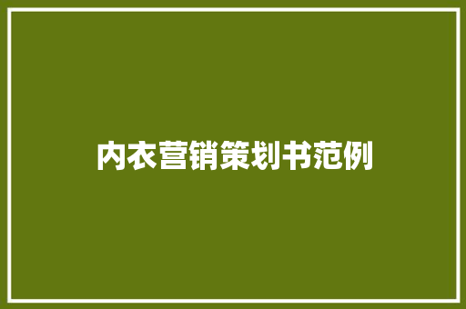 内衣营销策划书范例