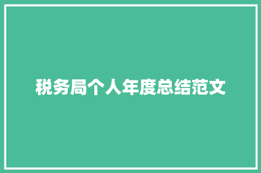 税务局个人年度总结范文