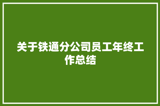 关于铁通分公司员工年终工作总结