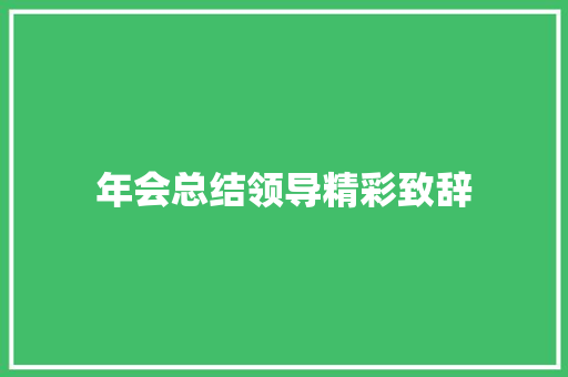 年会总结领导精彩致辞