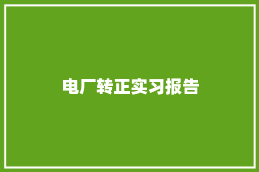 电厂转正实习报告