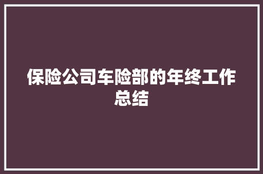 保险公司车险部的年终工作总结