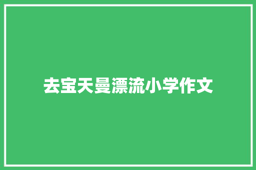 去宝天曼漂流小学作文