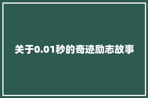 关于0.01秒的奇迹励志故事 工作总结范文