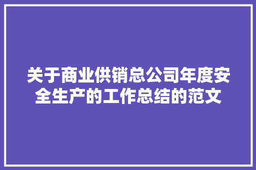 关于商业供销总公司年度安全生产的工作总结的范文