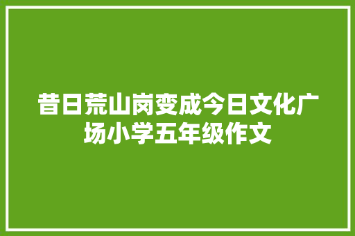 昔日荒山岗变成今日文化广场小学五年级作文