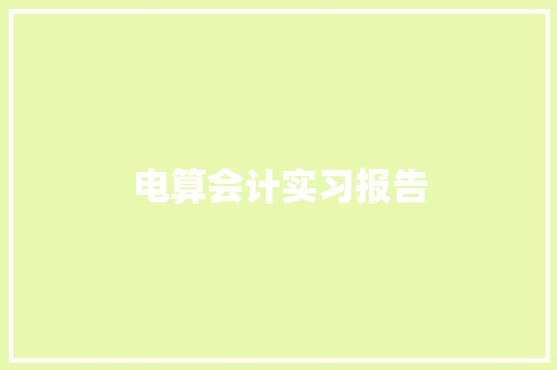 电算会计实习报告