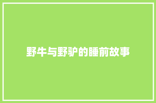 野牛与野驴的睡前故事