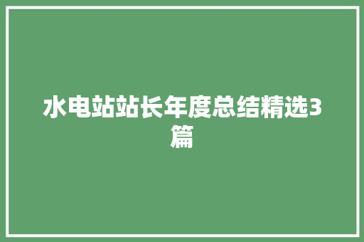 水电站站长年度总结精选3篇 求职信范文