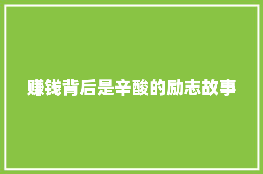 赚钱背后是辛酸的励志故事