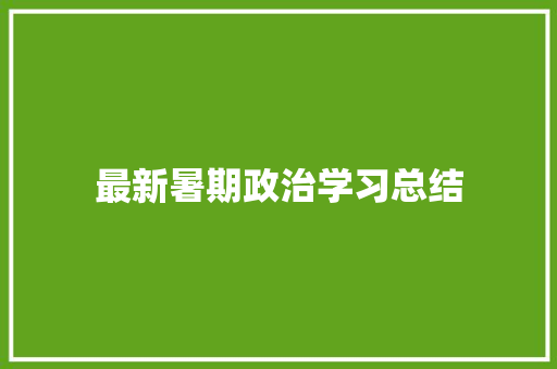 最新暑期政治学习总结