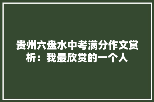 贵州六盘水中考满分作文赏析：我最欣赏的一个人