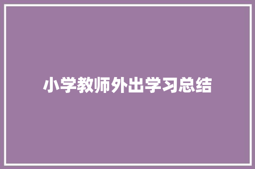 小学教师外出学习总结 生活范文