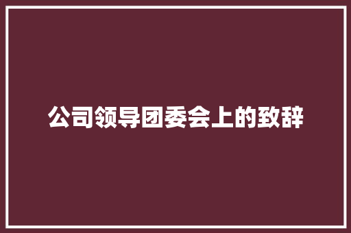 公司领导团委会上的致辞 演讲稿范文