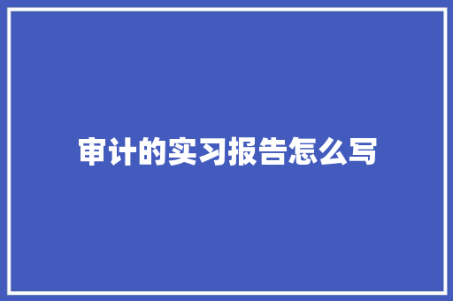 审计的实习报告怎么写 演讲稿范文