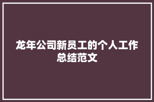 龙年公司新员工的个人工作总结范文