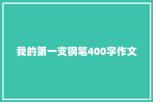 我的第一支钢笔400字作文