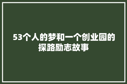 53个人的梦和一个创业园的探路励志故事