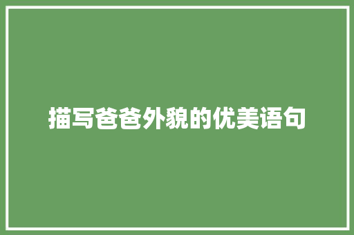 描写爸爸外貌的优美语句 商务邮件范文