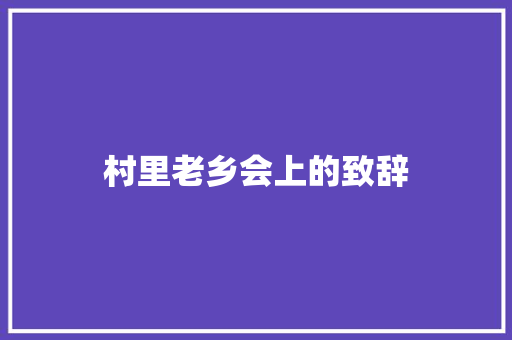 村里老乡会上的致辞 报告范文