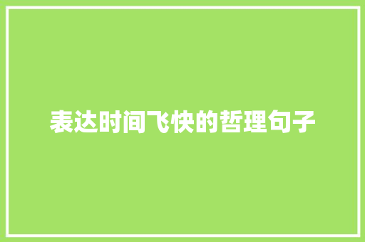 表达时间飞快的哲理句子