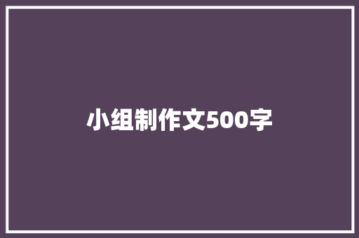 小组制作文500字