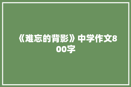 《难忘的背影》中学作文800字