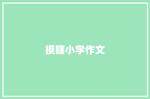 摸瞎小学作文