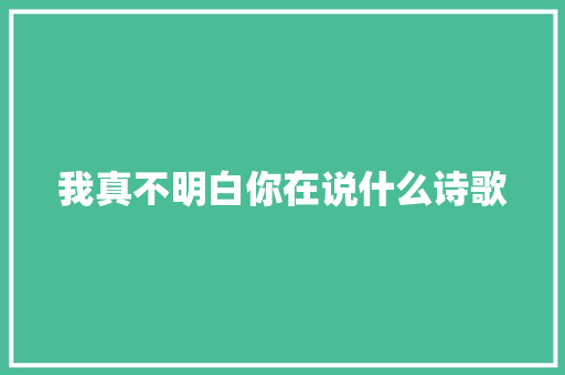 我真不明白你在说什么诗歌