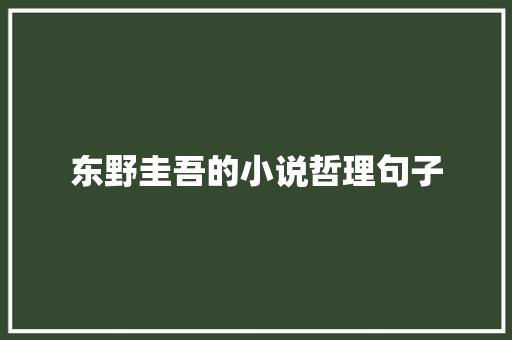 东野圭吾的小说哲理句子