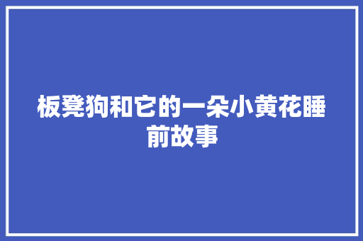 板凳狗和它的一朵小黄花睡前故事