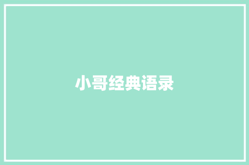 小哥经典语录