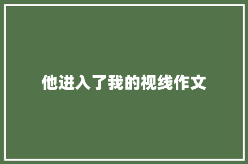 他进入了我的视线作文