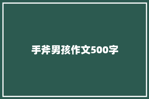 手斧男孩作文500字