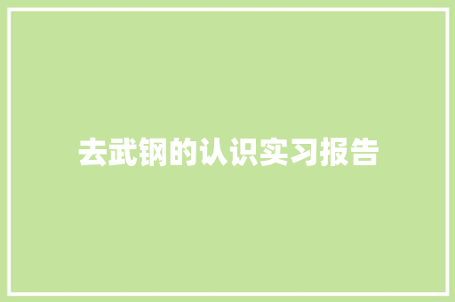 去武钢的认识实习报告