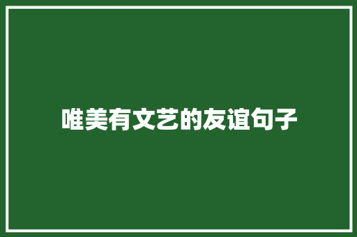 唯美有文艺的友谊句子 致辞范文