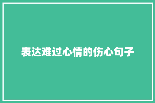 表达难过心情的伤心句子 会议纪要范文