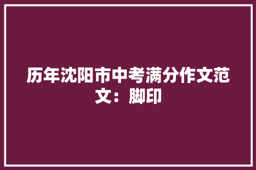 历年沈阳市中考满分作文范文：脚印