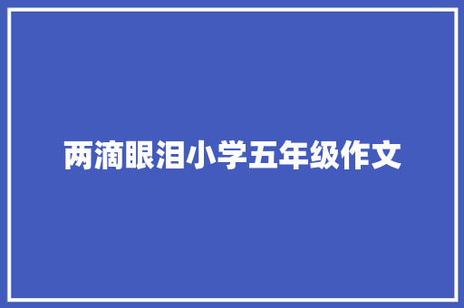 两滴眼泪小学五年级作文