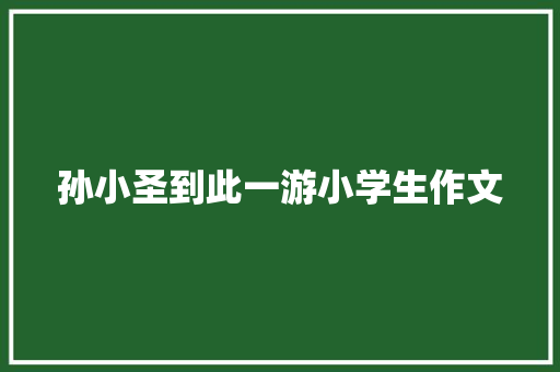 孙小圣到此一游小学生作文