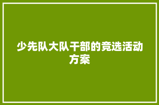 少先队大队干部的竞选活动方案