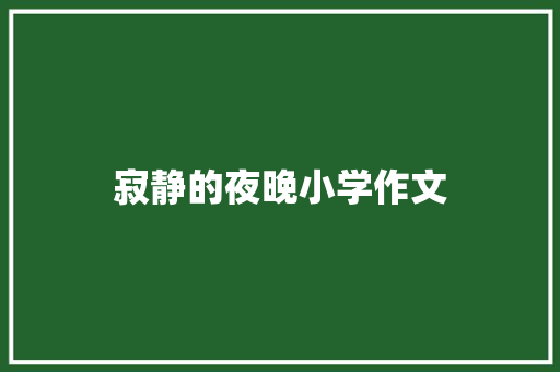 寂静的夜晚小学作文 申请书范文