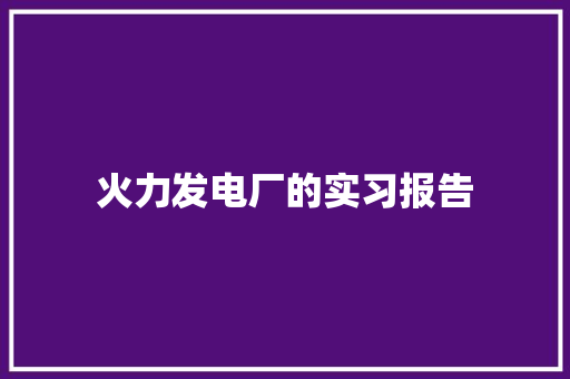 火力发电厂的实习报告