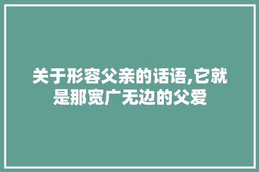 关于形容父亲的话语,它就是那宽广无边的父爱