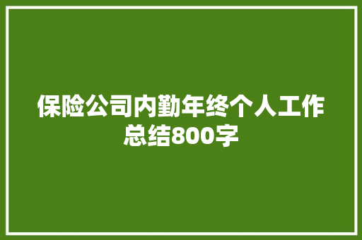 保险公司内勤年终个人工作总结800字