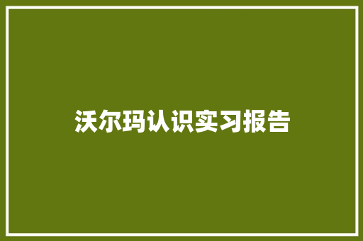 沃尔玛认识实习报告